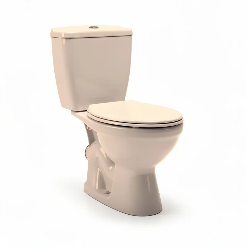 Remplacement de WC Paris 8e